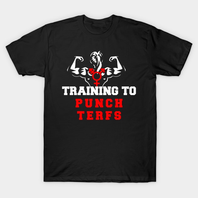 training to punch terfs T-Shirt by remerasnerds